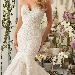Mermaid Lace Wedding Gown